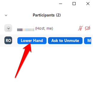 How to Lower Your Hand in a Zoom Meeting image